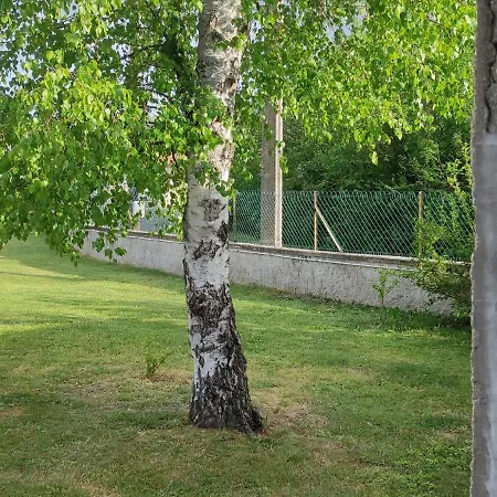 Petit